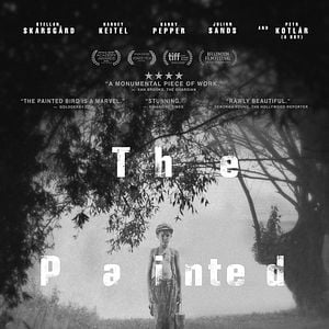 Foto O Pássaro Pintado