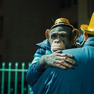 Foto Cães do Espaço