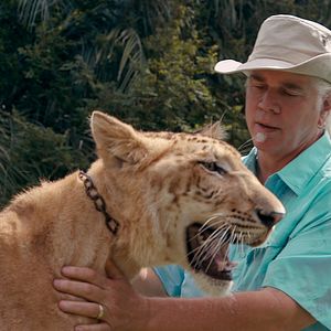 Foto A Máfia dos Tigres