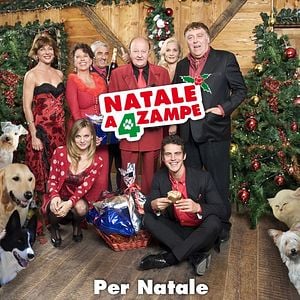 Foto Palácio para cachorros