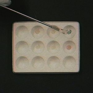 Foto How to Fix a Drug Scandal