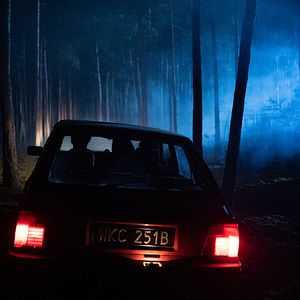 Foto Silêncio na Floresta