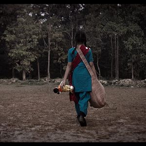 Foto O Segredo da Floresta