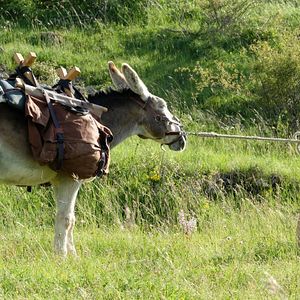 Foto Minhas Férias com Patrick