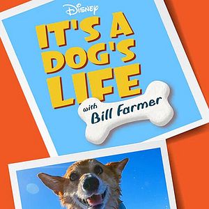 Foto Super Cães - Apresentado por Bill Farmer