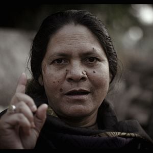 Foto O Segredo da Floresta