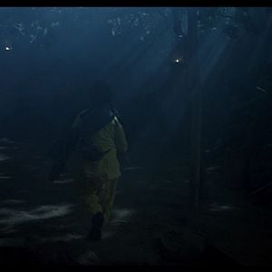 Foto O Segredo da Floresta