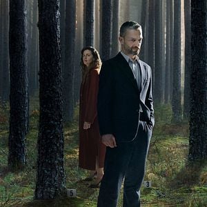 Foto Silêncio na Floresta