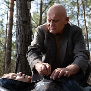 Foto Silêncio na Floresta