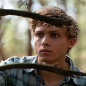 Foto Silêncio na Floresta