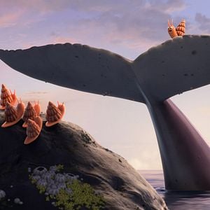 Foto O Caracol e a Baleia