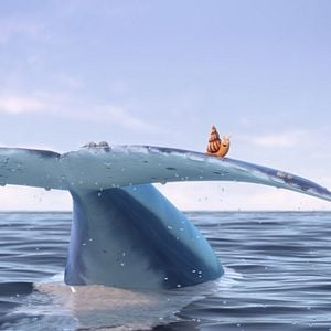 Foto O Caracol e a Baleia