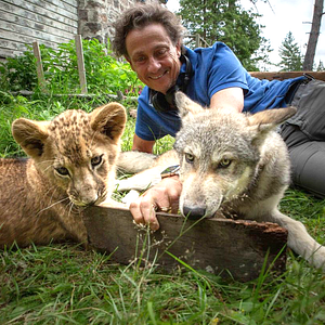 Foto Gilles de Maistre