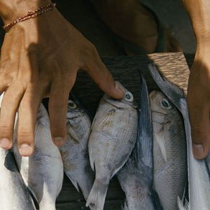 Foto Um Amor Proibido - Escute o Som do seu Coração