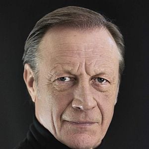 Foto Andrew Bicknell