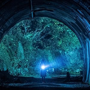 Foto A Vila dos Uivos