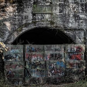 Foto A Vila dos Uivos