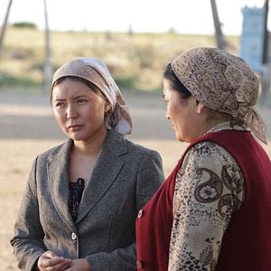 Foto The Horse Thieves. Roads Of Time