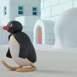 Foto Pingu