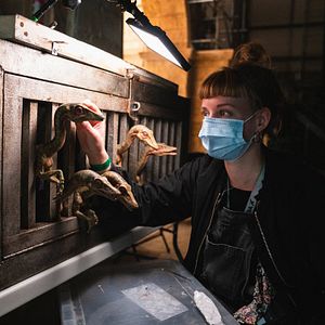 Foto Bryce Dallas Howard