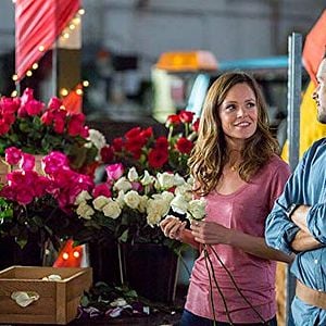 Foto Uma Rosa para o Natal