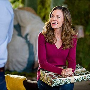 Foto Uma Rosa para o Natal