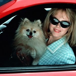 Foto Um Sonho Sem Limites