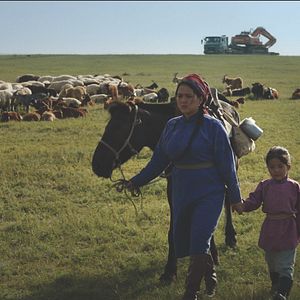 Foto Veins Of The World