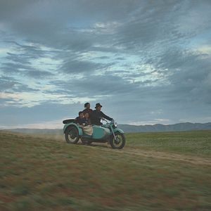 Foto Veins Of The World