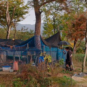 Foto A Mulher que Fugiu