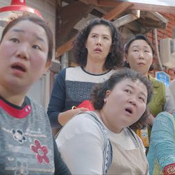 Foto Para Sempre Camélia