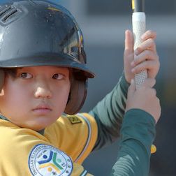 Foto Para Sempre Camélia