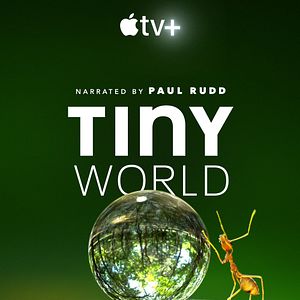 Foto Tiny World