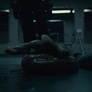 Foto Estranho Passageiro – Sputnik