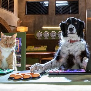 Foto Como Cães e Gatos 3: Peludos Unidos!
