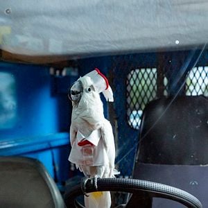 Foto Como Cães e Gatos 3: Peludos Unidos!