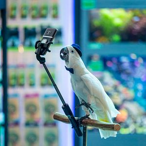 Foto Como Cães e Gatos 3: Peludos Unidos!