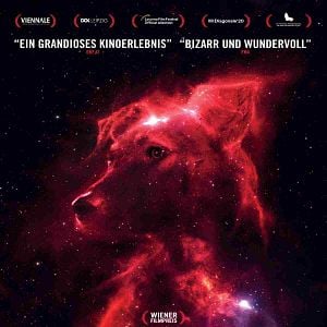 Foto Cães do Espaço