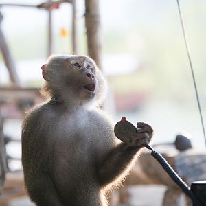 Foto O Ataque dos Vermes Malditos 7: Ilha dos Shriekers