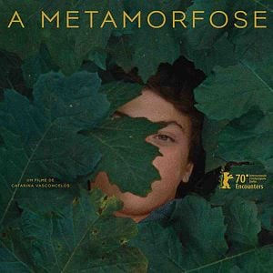 Foto A Metamorfose dos Pássaros