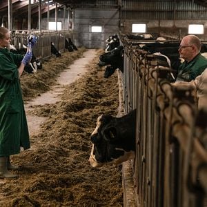 Foto Jette Søndergaard