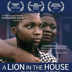 Foto Um Leão Por Dia