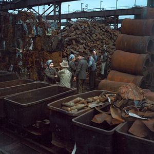 Foto Andorinhas Por um Fio