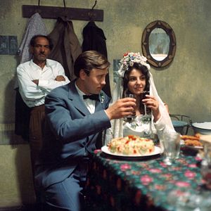 Foto Andorinhas Por um Fio