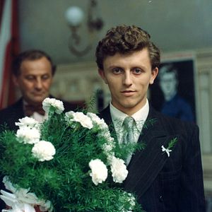 Foto Andorinhas Por um Fio