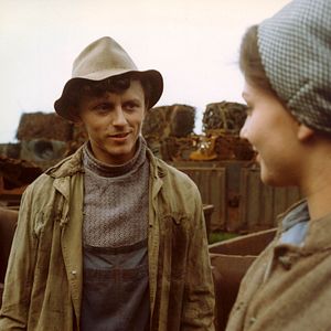 Foto Andorinhas Por um Fio