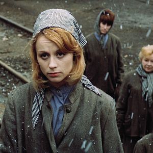 Foto Andorinhas Por um Fio