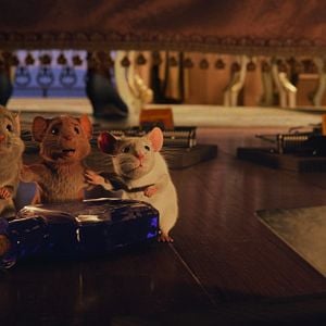 Foto Convenção das Bruxas