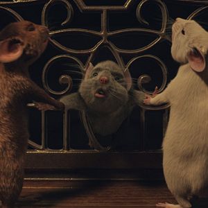 Foto Convenção das Bruxas