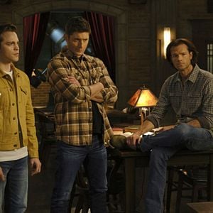 Foto Alexander Calvert